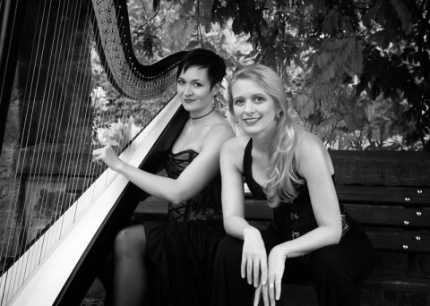 Duo Harfensang - Harfe mit Gesang, Musiker · DJ's · Bands Igensdorf, Kontaktbild