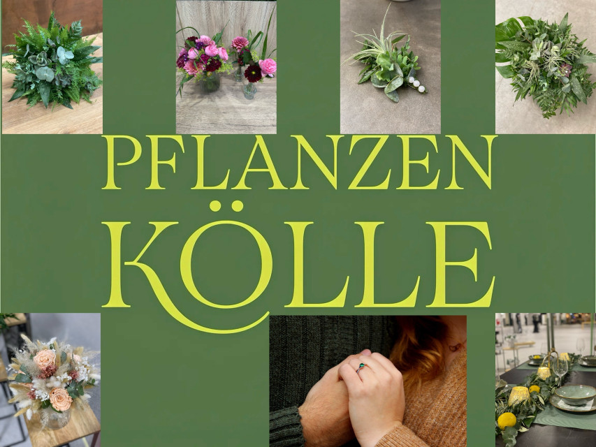 Pflanzen K&ouml;lle N&uuml;rnberg | Hochzeitsfloristik, Deko &middot; Floristen &middot; Hussen N&uuml;rnberg, Kontaktbild